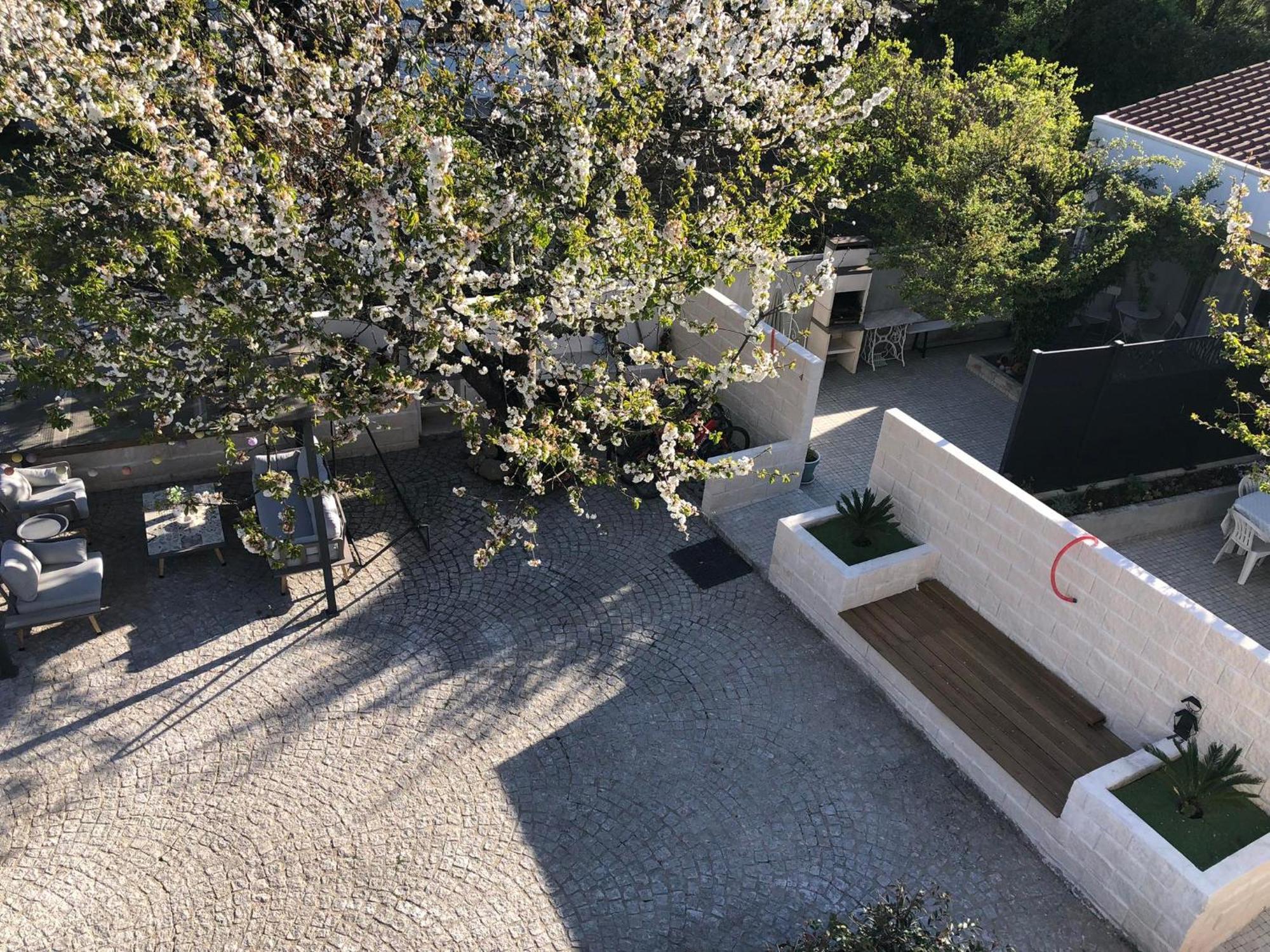 Villa Casa Da Avo Olinda Góis Exterior foto